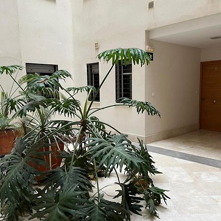 אלגסירס Habitaciones Privadas En Apartamento Compartido מראה חיצוני תמונה